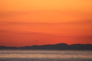 IMG_6766