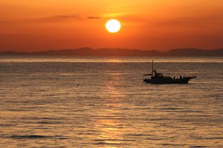 IMG_6779