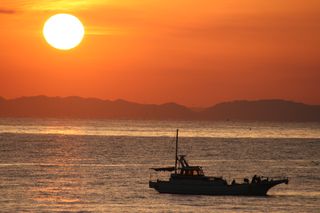 IMG_6780