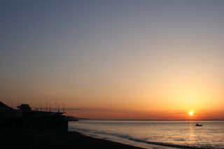 IMG_6781
