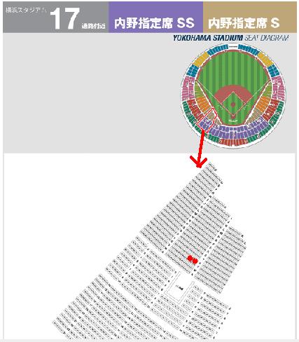 内野指定席Ｓ