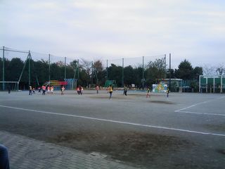 IMAG0781.jpg