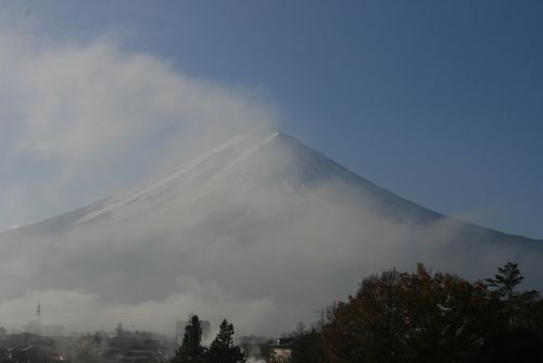 IMG_6585