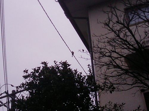 IMAG0727.jpg