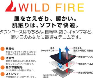 Wildfire