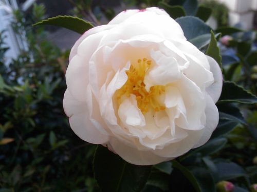IMAG0688.jpg