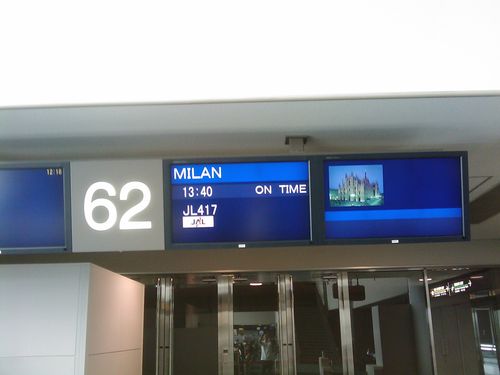 IMAG0395.jpg