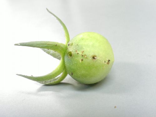 IMAG0379.jpg