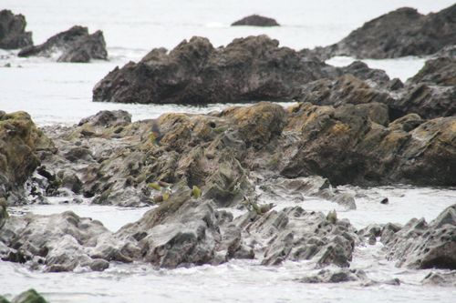 IMG_8086 IMG_8086