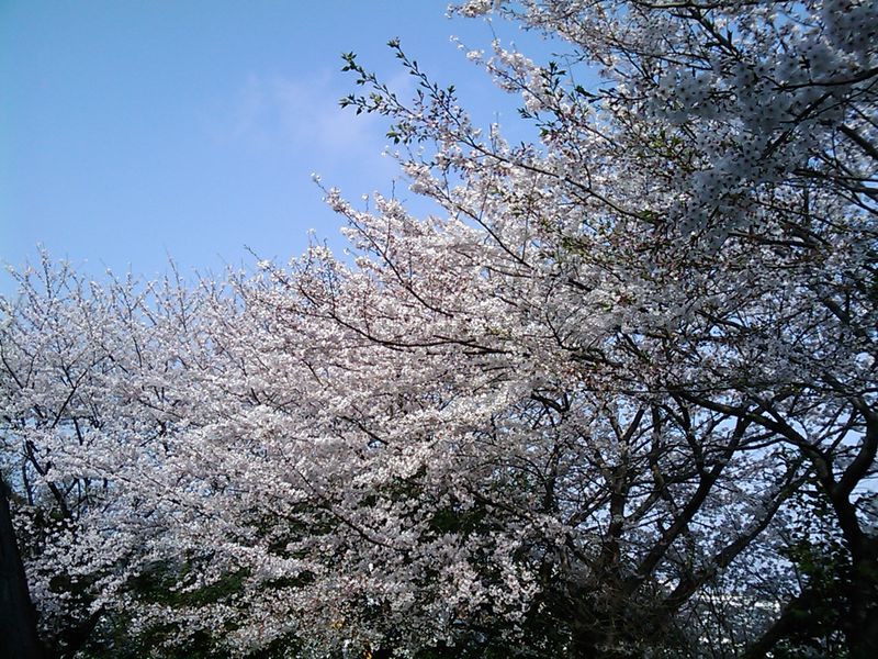 IMAG0407