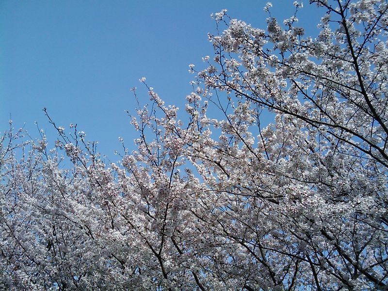 IMAG0409