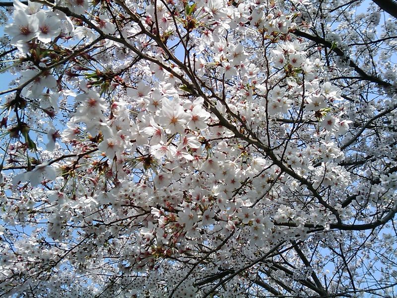 IMAG0408