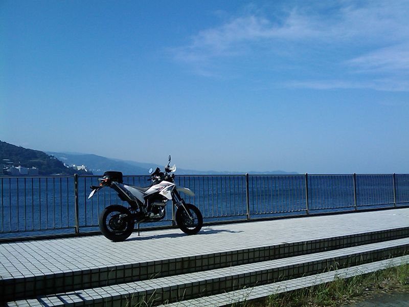 IMAG0491